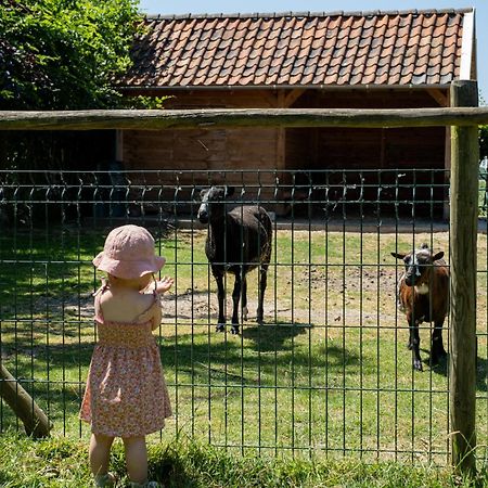 Hoeve De Binnenplaets Schimmert Eksteriør bilde